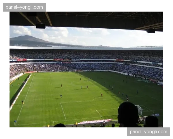 通讯：多特蒙德主场西格纳伊杜纳公园启动大规模看台翻新工程